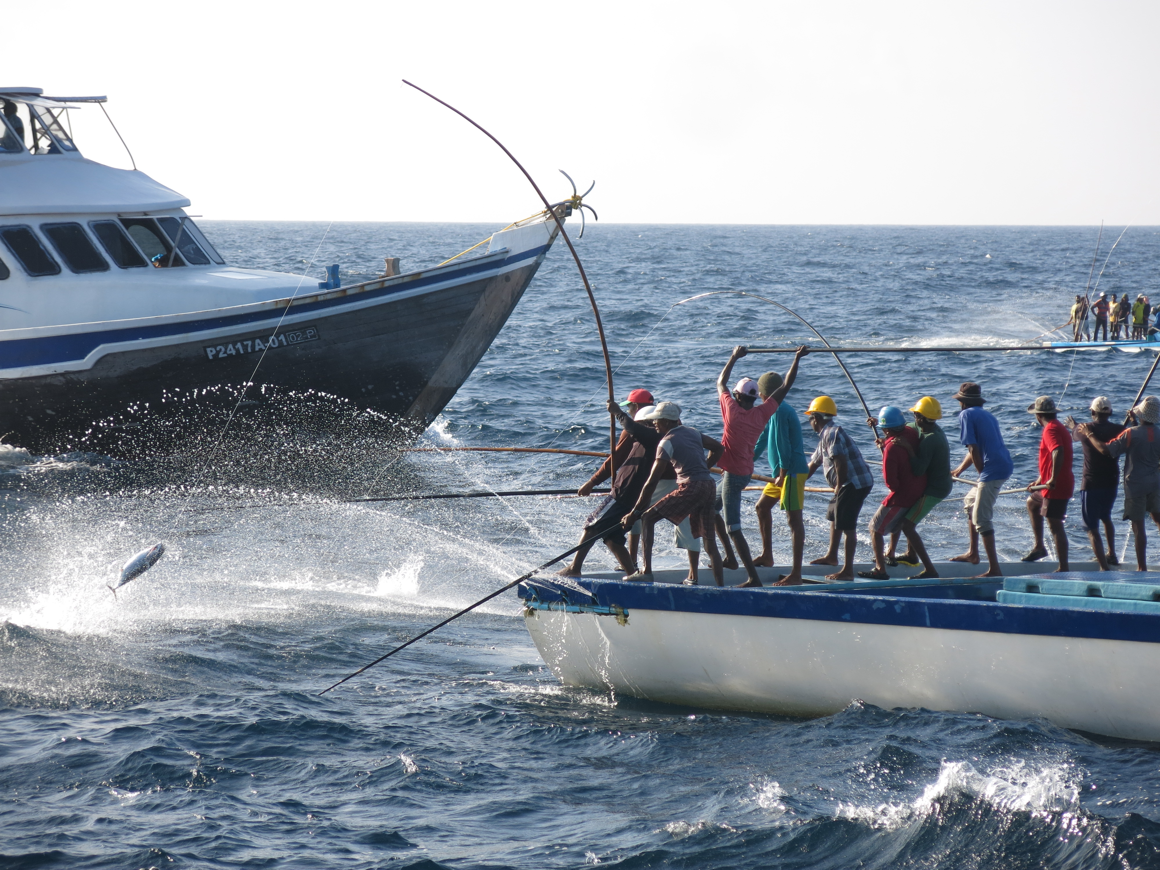 Maldives_(c)IPNLF, Kelsey Miller_PL fishers(2)