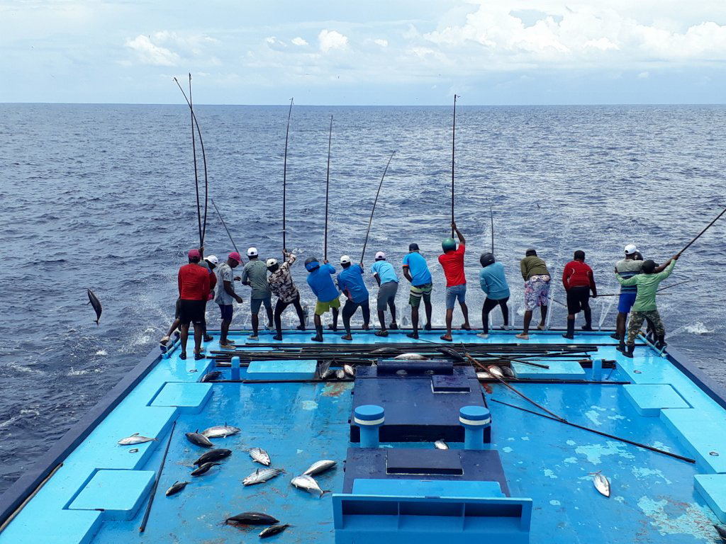 The Rich Tradition of Maldivian Fishing