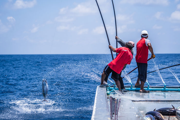 pole-line-fishing_maldives_leanna-crowley_8