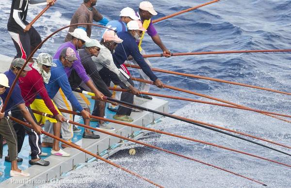 The Importance of Sustainable Fishing Practices